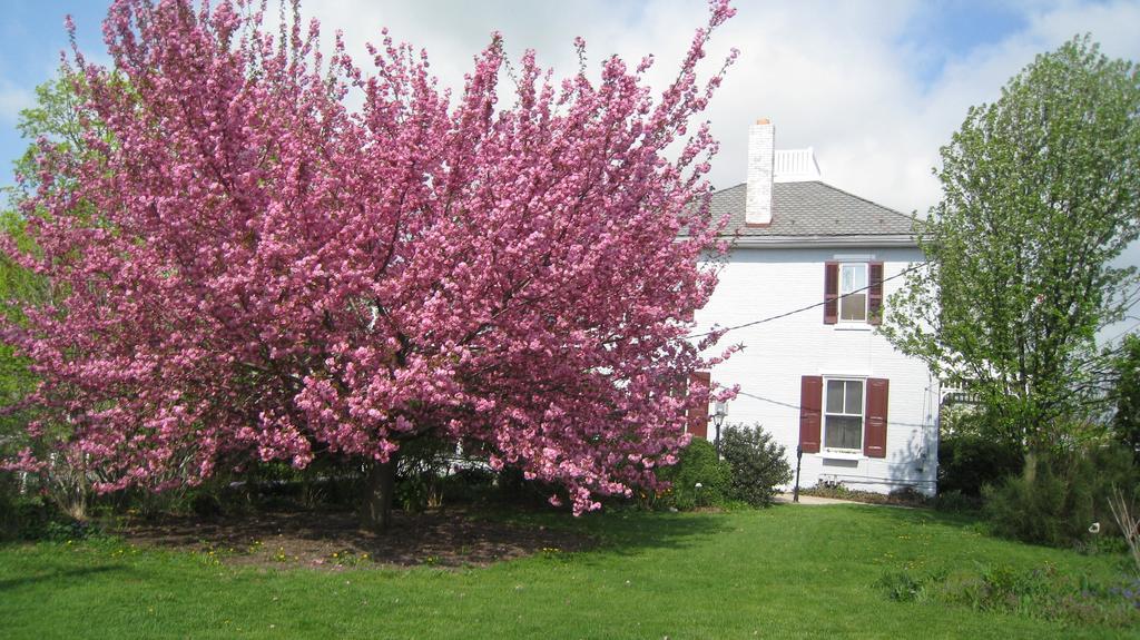 The Artist'S Inn And Gallery Terre Hill Exterior foto